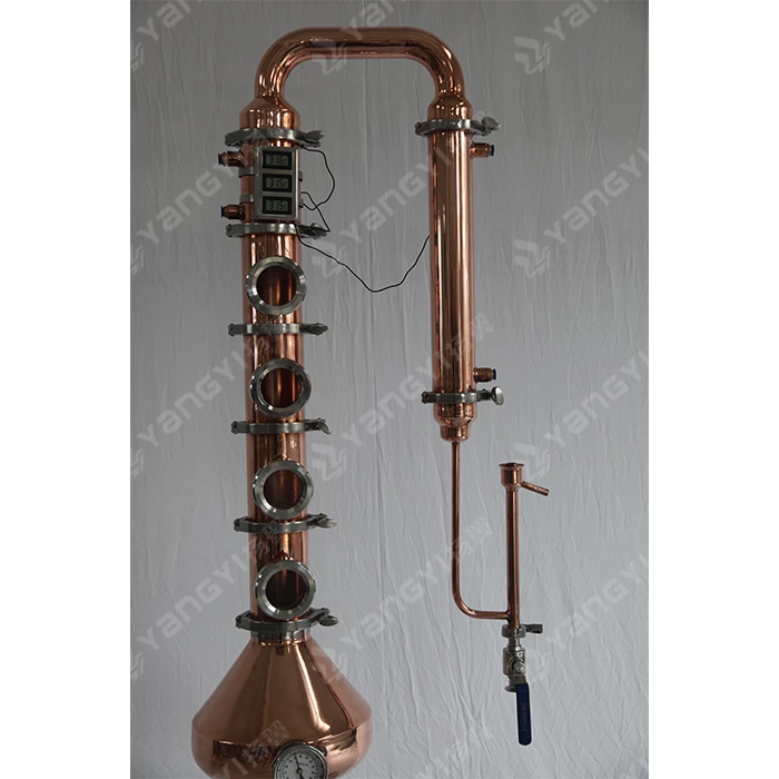 100L boiler with 4inch copper column