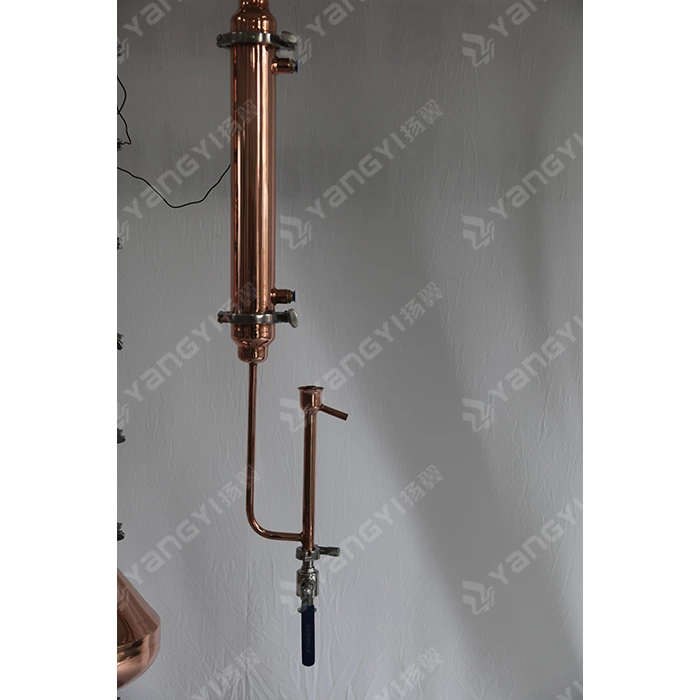 100L boiler with 4inch copper column